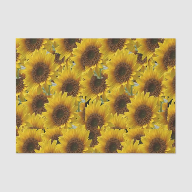 Decorative tissue paper sunflowers (Front)