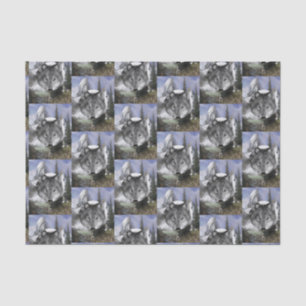 Decorative tissue paper Wolf