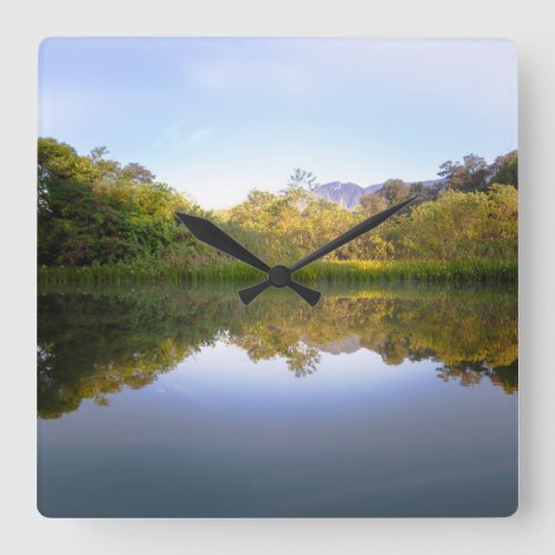 Decorative watch Forest reflection river  Brazil Square Wall Clock