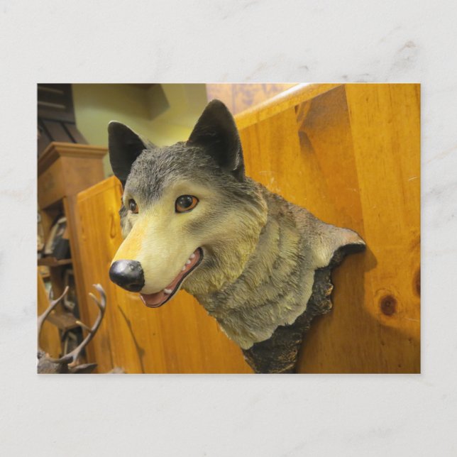 Decorative Wolf Head Postcard (Front)