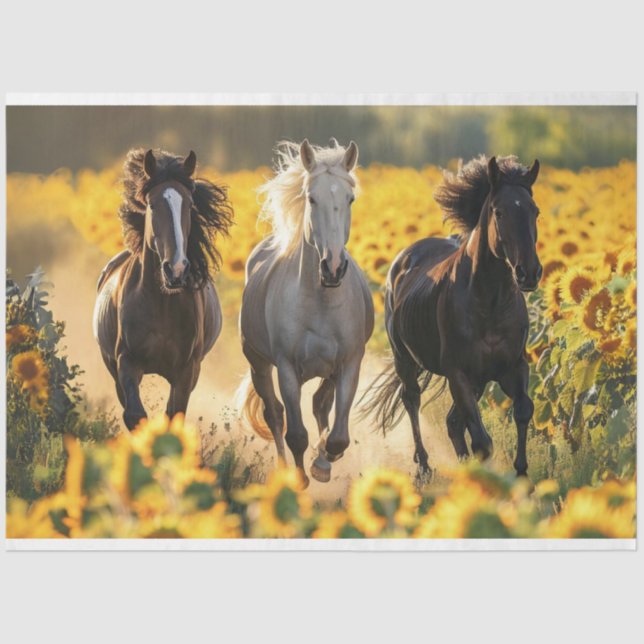 Decoupage 3 Horses Running Field Sunflowers  Tissue Paper (Front)