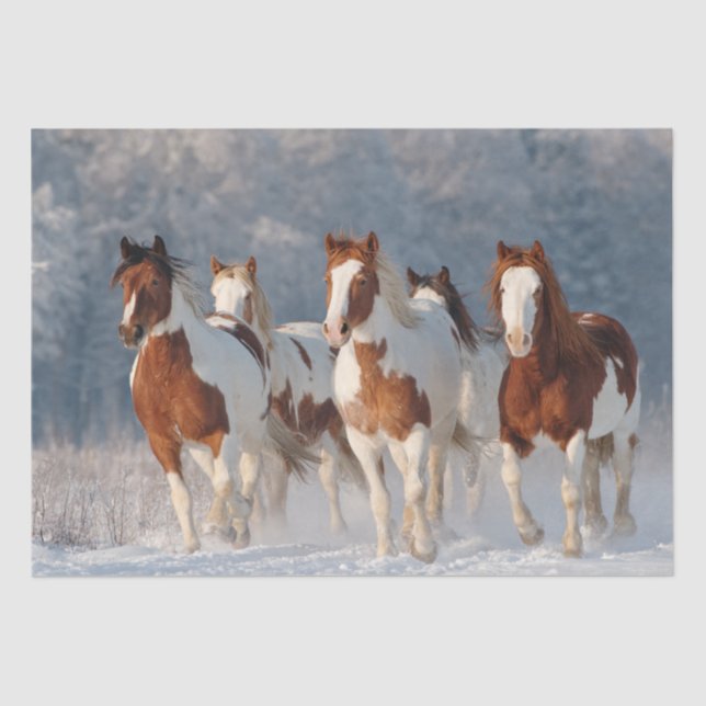 Decoupage 5 Pinto Galloping Snow Covered Field Tissue Paper (Front)