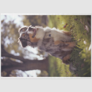 Decoupage Australian Shepherd Buddy Tissue Paper