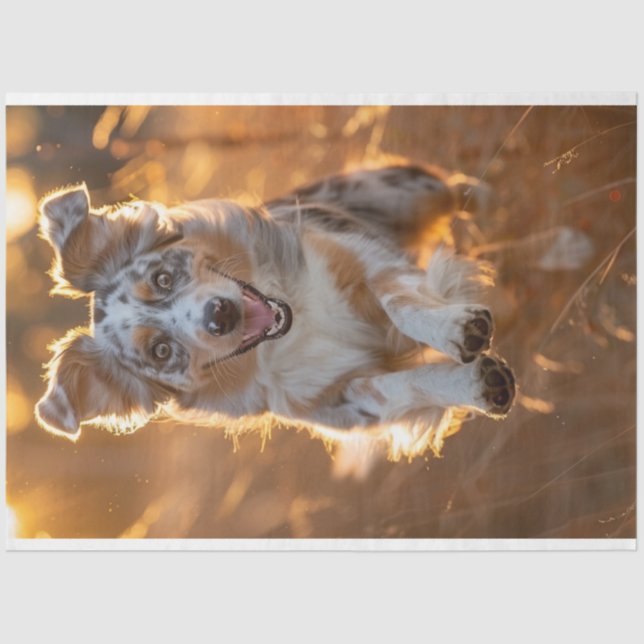 Decoupage Australian Shepherd Running  Tissue Paper (Front)