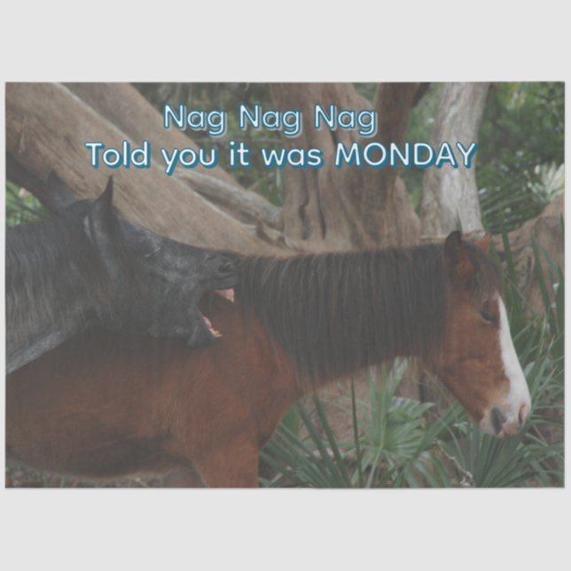 Decoupage Customizable Humorous Horse Print Tissue Paper (Front)