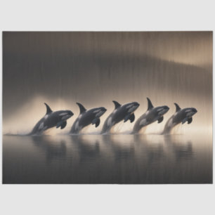 Decoupage Five Orcas Synchronized Display Ocean Tissue Paper