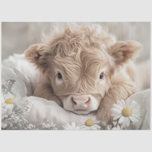 Decoupage Highland Calf White Daisies  Tissue Paper (Front)