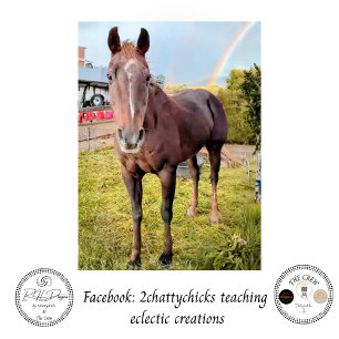 Decoupage Horse in Field Rainbow  Tissue Paper