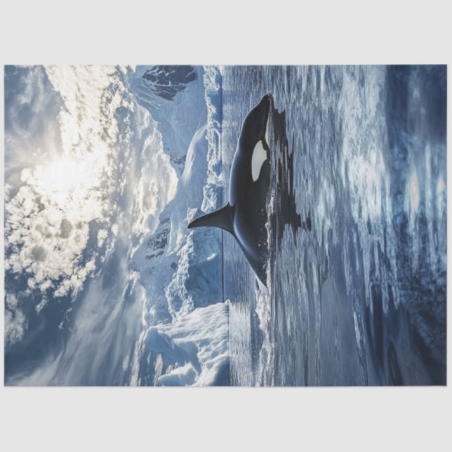 Decoupage Killer Whale Orca Icy Waters Tissue Paper (Front)