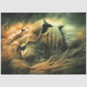 Decoupage Majestic Lion Profile Golden Glow Tissue Paper