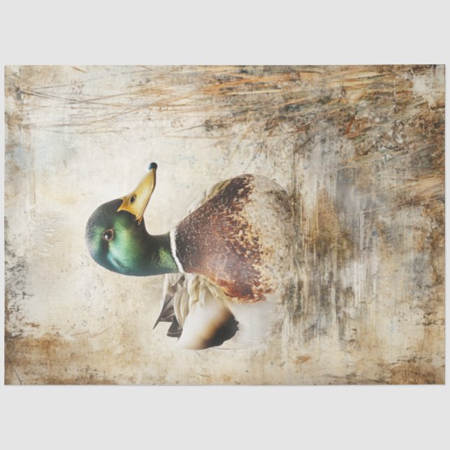 Decoupage Mallard Duck Vintage Painting Tissue Paper (Front)