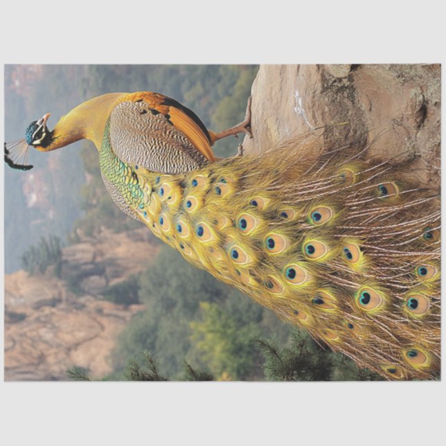 Decoupage Mountain Majestic Peacock Golden  Tissue Paper (Front)