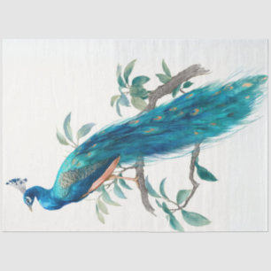 Decoupage Natures Crown Botanical Peacock Tissue Paper