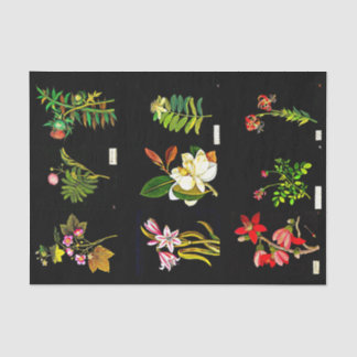 Decoupage Paper 10"x15" - Mary Delany 14