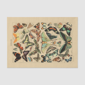 Decoupage Paper 10"x15" - Vintage Butterfly Art 1