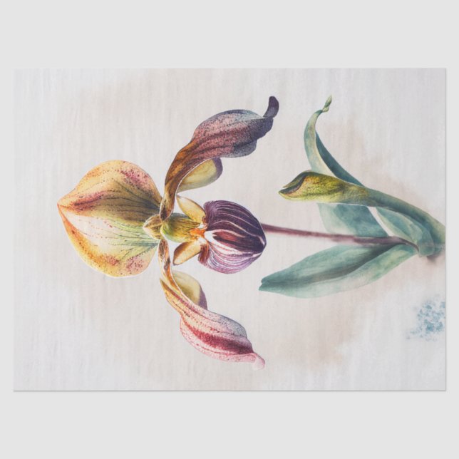 Decoupage Paper, Wrapping, - Blooming Splendor 1 Tissue Paper (Front)