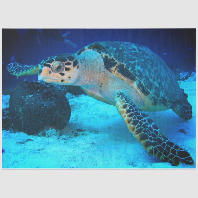 Decoupage Sea Turtle Tissue Paper (Front)