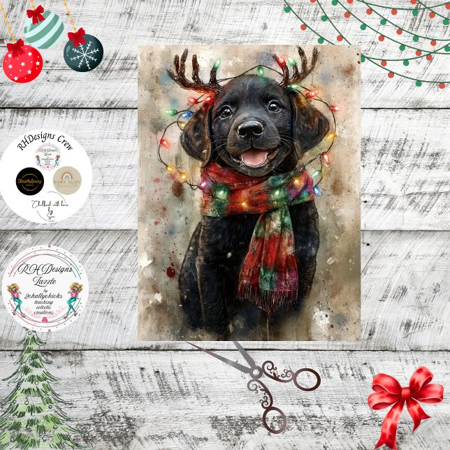 Decoupage Special Black Lab Pup Noah Tissue Paper (Creator Uploaded)
