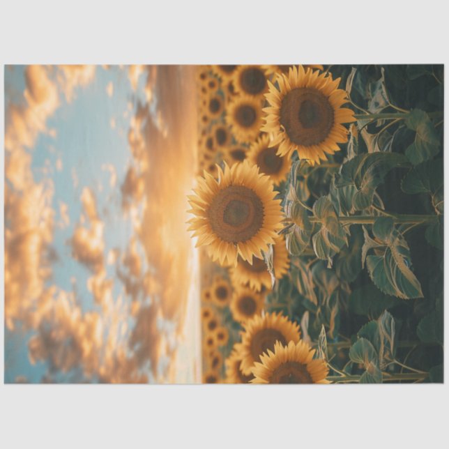 Decoupage Sunflower Field Sunlight Kiss Sky Tissue Paper (Front)