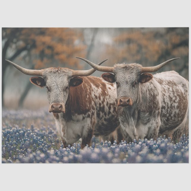 Decoupage Texas Longhorns Field Bluebonnet Flowers Tissue Paper (Front)