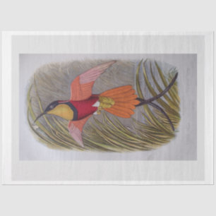 Decoupage Tissue Paper Vintage Bird Art