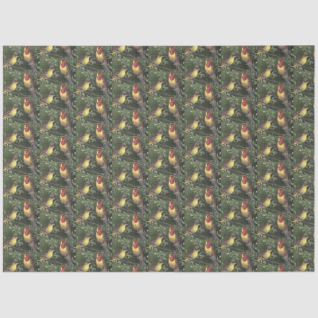 Decoupage Two Colorful Birds Tissue Paper (Front)