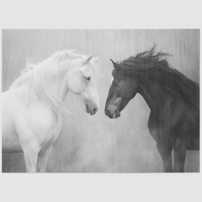 Decoupage Whimsical Black White Horses Interaction Tissue Paper (Front)