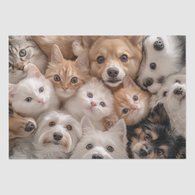 Decoupage Whimsical Cats & Dogs Heartwarming Scene Tissue Paper (Front)