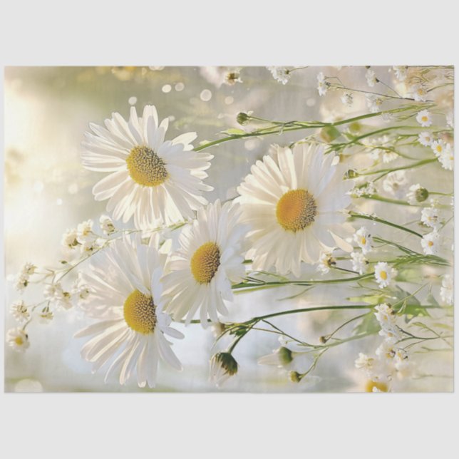 Decoupage White Daisies Natural Setting  Tissue Paper (Front)