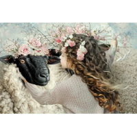 Decoupage Wool & Whispers Sheep & Marigold 
