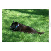 deekie (Front Horizontal)