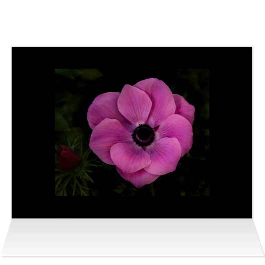 Deep (Inside Horizontal (Top))