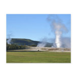 Deep Blue Geyser and Bison at Yellowstone Postcard