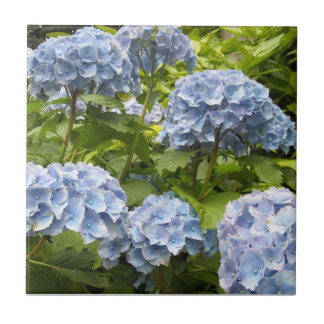 Deep Blue Hydrangeas Ceramic Tile