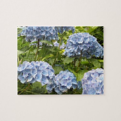 Deep Blue Hydrangeas Jigsaw Puzzle