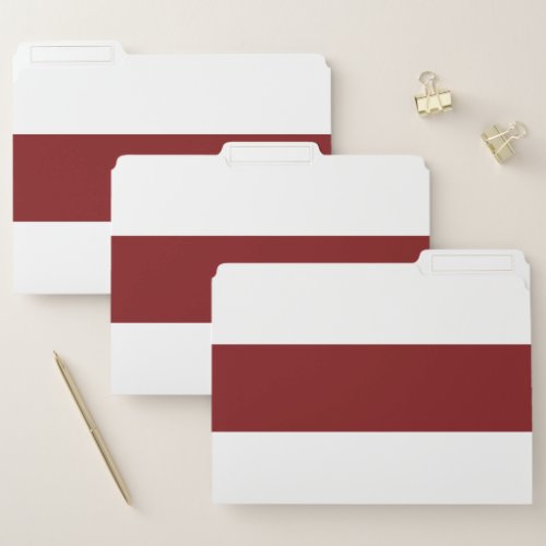 Deep Burgundy and White Simple Extra Wide Stripes File Folder