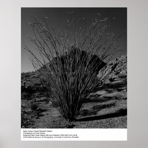 Deep Canyon Desert Research Station by Ansel Adams Poster