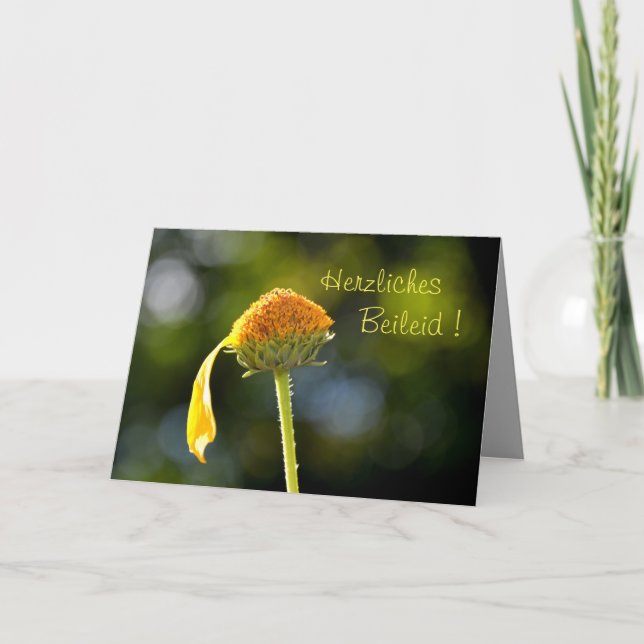 Deep Condolences ! With yellow blossom Card (Front)