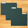 Deep Cyan Solid Color File Folder