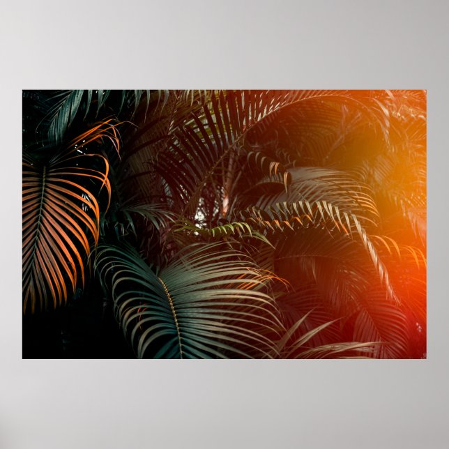 Deep dark green palm leaves pattern with bright or poster (Front)