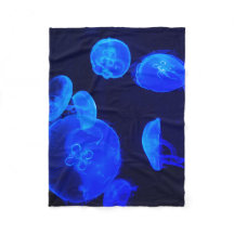 Deep Dive Buddha Today #1 Cozy Ocean 