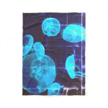 Deep Dive Buddha Today #2 Cozy Ocean 