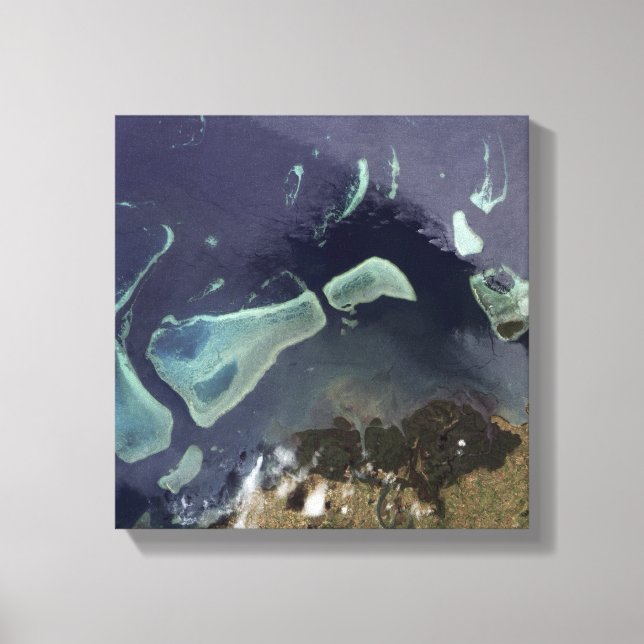 Deep green forest on land canvas print (Front)