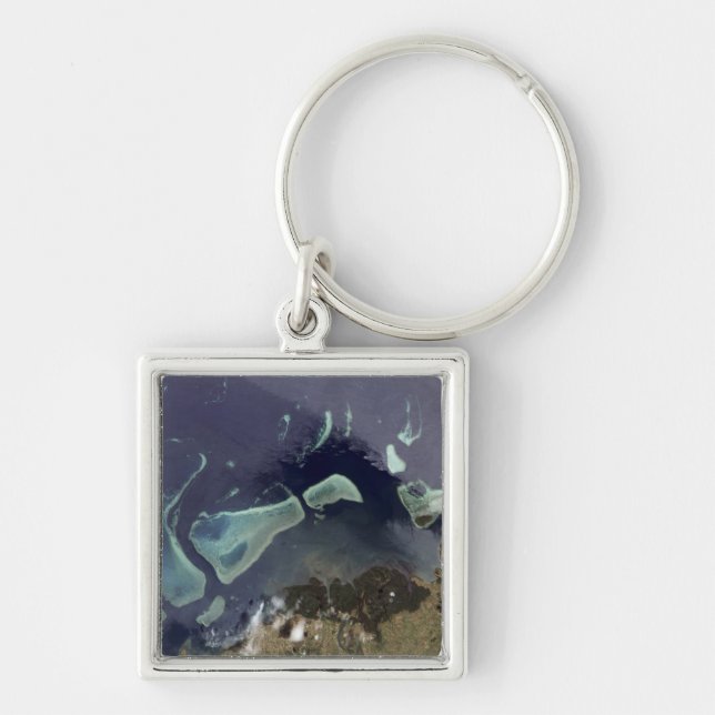 Deep green forest on land keychain (Front)