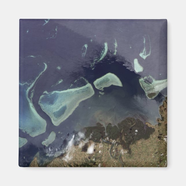 Deep green forest on land magnet (Front)