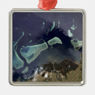 Deep green forest on land metal ornament