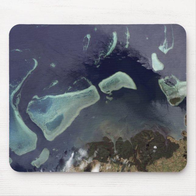 Deep green forest on land mouse pad (Front)