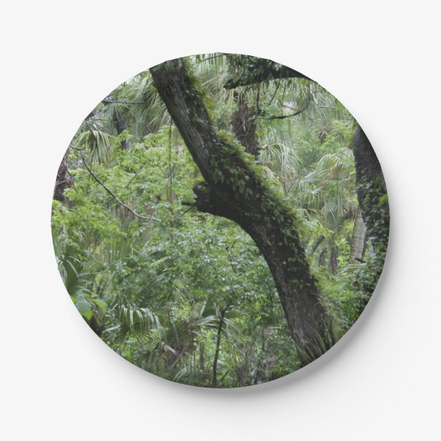 Deep Green Forest Paper Plates (Front)