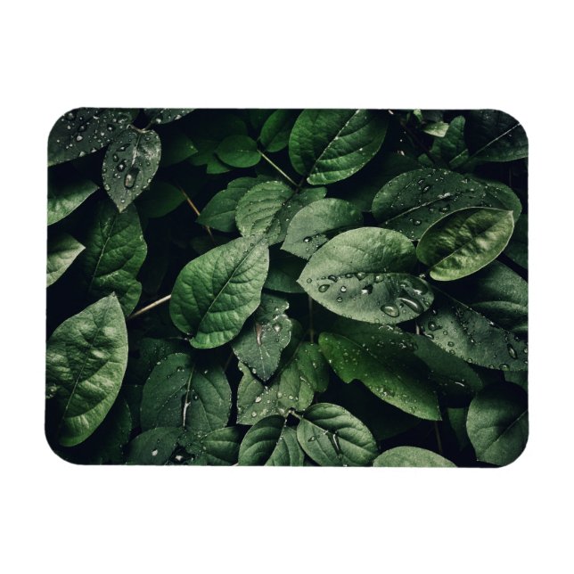 Deep Green Jungle Leaf Foliage Magnet (Horizontal)