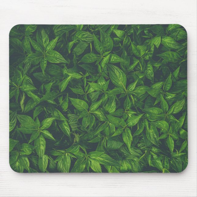 Deep Green Leaves  Mouse Pad (Front)